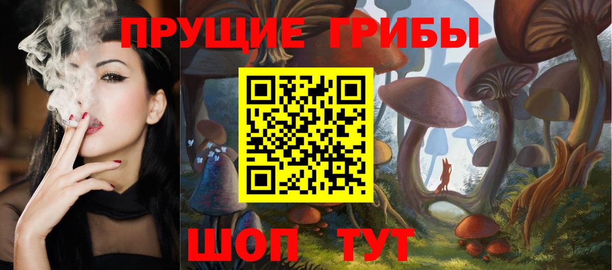 Галлюциногенные грибы GOLDEN TEACHER  Вход с VPN  Галлюциногенные грибы Psilocybe  Бердск 