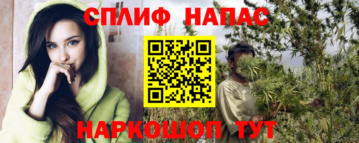 Каннабис план  Каннабис тримм  Каннабис планчик  Бердск  Вход с VPN 